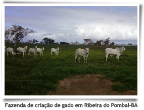 Fazenda de criação de gado em Ribeira do Pombal – BA